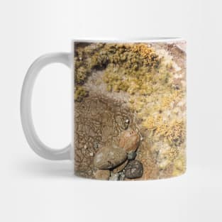 Shallow Rock Pool Mug
